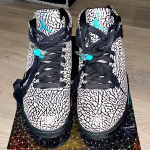 2013 Air Jordan 3Lab5 Elephant Print (worn, w/ box)